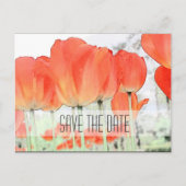 Carte Postale Faire-part Enregistrer la date, fleurs de tulipe rouge photo  (Devant)