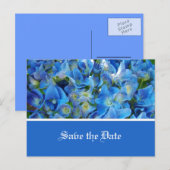 Carte Postale Faire-part enregistrer la date, fleurs d'hydrangée bleue (Devant / Derrière)