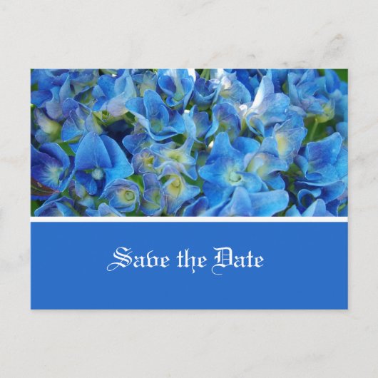 Carte Postale Faire-part enregistrer la date, fleurs d'hydrangée bleue (Devant)
