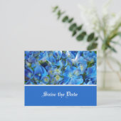 Carte Postale Faire-part enregistrer la date, fleurs d'hydrangée bleue (Debout devant)