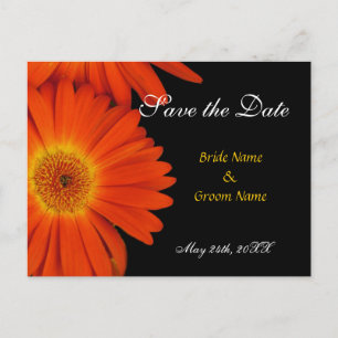 Carte Postale Faire-part enregistrer la date, gerbera daisy