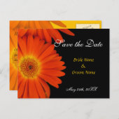 Carte Postale Faire-part enregistrer la date, gerbera daisy (Devant / Derrière)