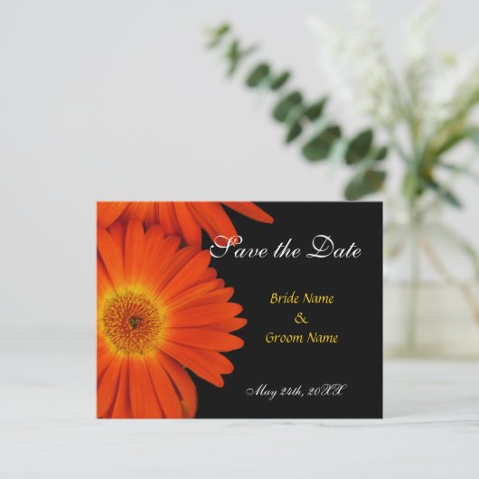 Carte Postale Faire-part enregistrer la date, gerbera daisy (Debout devant)