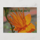 Carte Postale Faire-part Enregistrer La Date Orange Flower Photocard Postca (Devant)