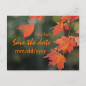 Carte Postale Faire-part Enregistrer la date pour cet automne (Devant)