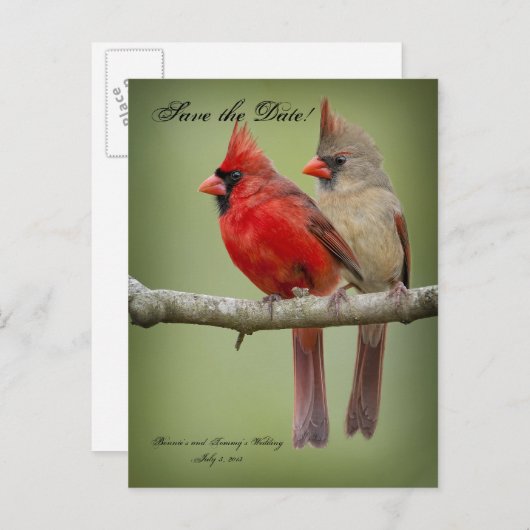 Carte Postale Faire-part Enregistrer la date pour notre paire Mariage/Cardi (Devant / Derrière)
