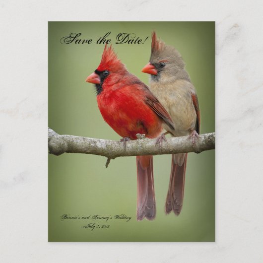 Carte Postale Faire-part Enregistrer la date pour notre paire Mariage/Cardi (Devant)