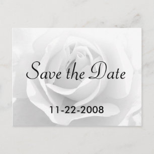 Carte Postale Faire-part Enregistrer la date Rose blanche