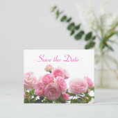 Carte Postale Faire-part Enregistrer la date - roses roses roses (Debout devant)