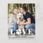 Carte Postale Faire-part Enregistrer le Mariage Date Chien (Devant)