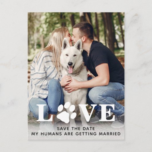 Carte Postale Faire-part Enregistrer le Mariage Date Chien (Devant)