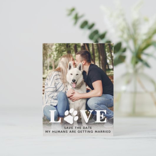 Carte Postale Faire-part Enregistrer le Mariage Date Chien (Debout devant)
