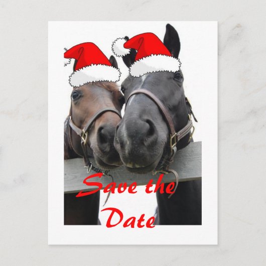 Carte Postale Faire-part Enregistrer les chevaux de la date/Noël (Devant)