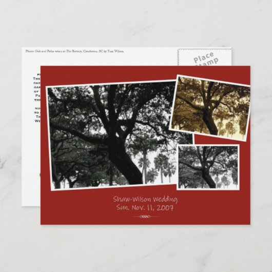 Carte Postale Faire-part EnregistrerDate (Devant / Derrière)