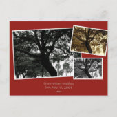 Carte Postale Faire-part EnregistrerDate (Devant)