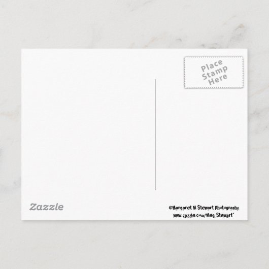 Carte Postale Faire-part Enregistrez la date - Ou autre ! (Dos)