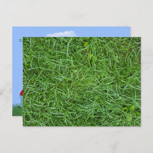 Carte Postale Faire-part entreprise d'aménagement paysager herbe macro (Devant / Derrière)