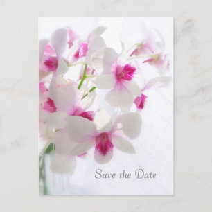 Carte Postale Faire-part Épouser. Orchidées blanches. Réservez la date