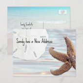 Carte Postale Faire-part Étoile de mer Dollar de sable Bois Plage Nouvelle  (Devant / Derrière)