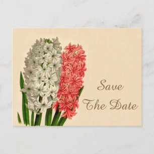 Carte Postale Faire-part Faire part de 95e anniversaire chic vintage hyacin
