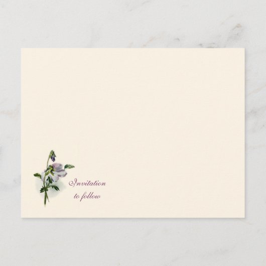 Carte Postale Faire-part Faire part de pensées violettes (Dos)