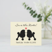 Carte Postale Faire-part Fancy Black Toy Poodles Mariage Enregistrer la dat (Debout devant)
