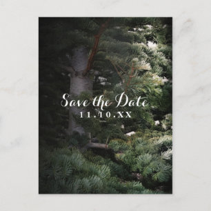 Carte Postale Faire-part Fête de sauvegarde de la date Forêt Rustique de Pi