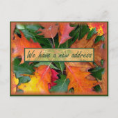 Carte Postale Faire-part Feuilles de chêne en mouvement en automne (Devant)