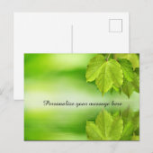 Carte Postale Faire-part Feuilles de la nature verte Dew personnalisée (Devant / Derrière)