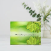 Carte Postale Faire-part Feuilles de la nature verte Dew personnalisée (Debout devant)