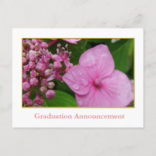 Carte Postale Faire-part Fille de la promotion de l'hortensia rose