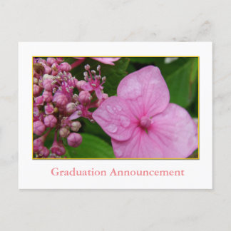 Carte Postale Faire-part Fille de la promotion de l'hortensia rose