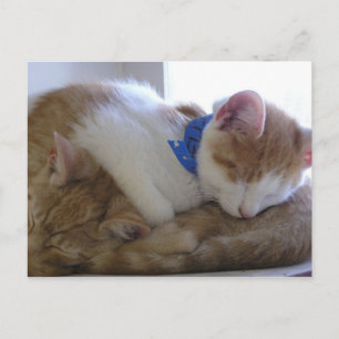 Carte Postale Faire-part Flemming et Finley