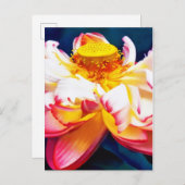 Carte Postale Faire-part Fleur de lotus rose en fleurs à l'aquarelle (Devant / Derrière)