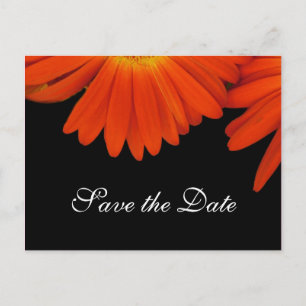 Carte Postale Faire-part Fleur de marguerite orange élégante pour annoncer 