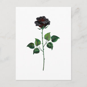 Carte Postale Faire-part Fleur de rose noire