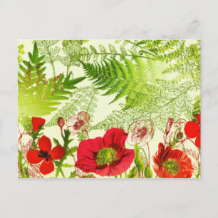 Carte Postale Faire-part Fleur de soleil vintage Papavers floraux