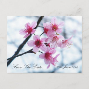 Carte Postale Faire-part Fleurs de cerises - Enregistrer la date