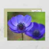 Carte Postale Faire-part Fleurs de Pavot Bleu Save The Date (Devant / Derrière)