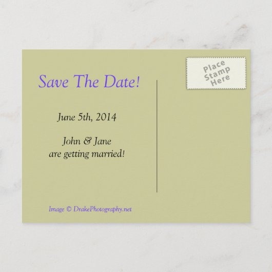 Carte Postale Faire-part Fleurs de Pavot Bleu Save The Date (Dos)