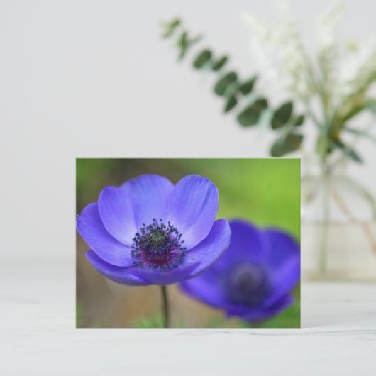 Carte Postale Faire-part Fleurs de Pavot Bleu Save The Date (Debout devant)