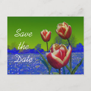 Carte Postale Faire-part fleurs de tulipes réservez la date