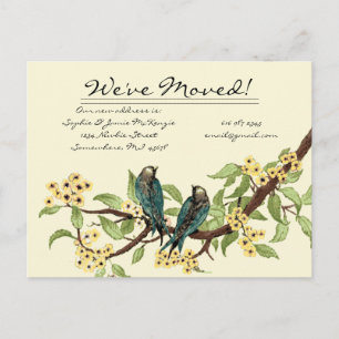 Carte Postale Faire-part Fleurs Jaunes Oiseaux Télés Vintage Nous Avons Dém