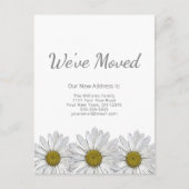 Carte Postale Faire-part Fleurs Rustiques Blanches Marguerites Moderne Démé (Devant)