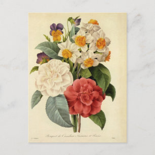 Carte Postale Faire-part Fleurs Vintage, Camélias et Narcisse, Redoute