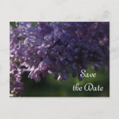 Carte Postale Faire-part Fleurs violettes Lilac Mariage Enregistrer la date (Devant)
