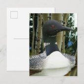 Carte Postale Faire-part Fou (Devant / Derrière)