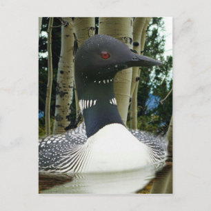 Carte Postale Faire-part Fou