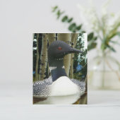 Carte Postale Faire-part Fou (Debout devant)
