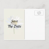 Carte Postale Faire-part Fournitures de mariage Daisy Shadow et Light (Dos)